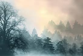 You have to choose the right plants and avoid over irrigating, but it's not that difficult. Trees Landscape Hillside Pine Free Image On Pixabay