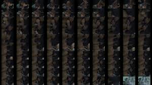 Chika-Bandung-01 - XNXX.COM