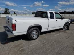 Image result for White 1994 Dakota