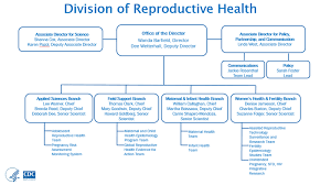 Medical Office Flow Chart 2019