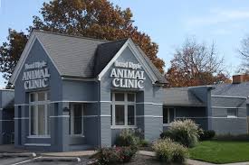 Check poison symptoms, diagnosis & treatments. Indianapolis Animal Clinic Broad Ripple Animal Clinic