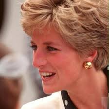 Lynn Seifert (lynncseifert)