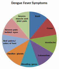 dengue fever signs symptoms and treatment disabled world