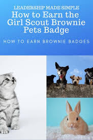 Check out our brownie badge selection for the very best in unique or custom, handmade pieces from our pins & pinback buttons shops. How To Earn Brownie Badges How To Earn The Girl Scout Brownie Pets Badge It S Your Story Tell It Journey