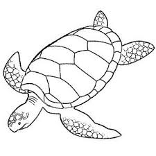 Left click on a coloring page and drag it to paint3d or similar. Turtle Drawing Easy Colored Peepsburgh