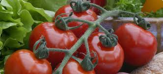 Spinosad is a natural product for the control of caterpillars and thrips. Tomato Pests Agriculture And Food