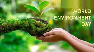 The theme of world environment day 2020 is biodiversity. World Environment Day June 5th Theme History Quotes Activities Slogans And Why It S Celebrated Fillgap News