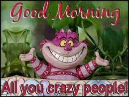Good Morning Crazy People Crazy People Good Morning Sunshine Good Morning Friends