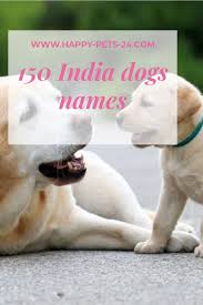 If you're obsessed with pop culture, not just any old name will do for your new dog or puppy. 150 Best Indian Dog Names Their Meanings Dog Names Dog Names Male Puppies Names Female