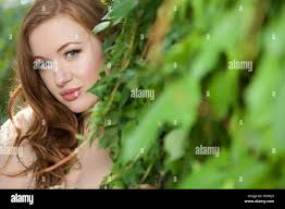 Cape ivy hi-res stock photography and images