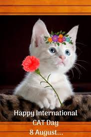 August 8 2021 — next to the wolf, the cat is one of humanity's oldest pets. Happy International Cat Day 8 August 2019