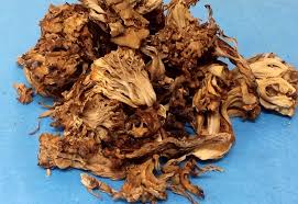 dried maitake mushrooms