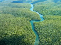 A river can be wide and deep, or shallow enough for a person to wade across. The Longest Rivers In The World Worldatlas
