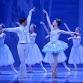 Saint Louis Ballet - The Nutcracker event image