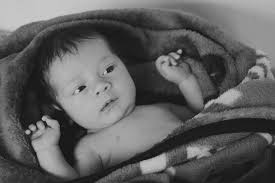 Bailey Becher Photography