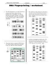 Input it if you want to receive answer. Dna Fingerprinting Worksheet 1 Ans Pdf Name Adham Samy Saad Elasfar Date Period 11 E Dna Fingerprinting Works Heet 1 The Dna Fingerprints Were Made Course Hero