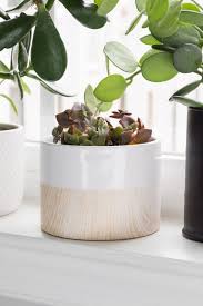 How To Drill A Hole In A Ceramic Pot Can You Drill Holes In Ceramic Pots In 2020 Ceramic Pot Ceramic Planter Pots Ceramic Pots