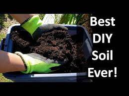 Pin On Gardening