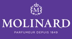 Introduced in japan by keihan hirakata nursery in 2009 as 'la rose de molinard'. La Boutique Molinard