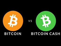 Later, bitcoin cash moved downwards and reached $700. Bitcoin Cash Everything You Need To Know By Bethany Allison Purse Blog