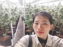 OZ Stoners Cannabis Community