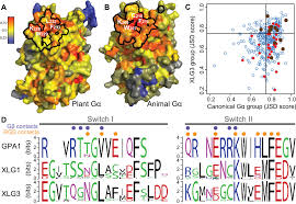 Maybe you would like to learn more about one of these? Saltational Evolution Of The Heterotrimeric G Protein Signaling Mechanisms In The Plant Kingdom Science Signaling