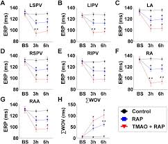 Here are 10 tips to get you started: A Potential Relationship Between Gut Microbes And Atrial Fibrillation Trimethylamine N Oxide A Gut Microbe Derived Metabolite Facilitates The Progression Of Atrial Fibrillation International Journal Of Cardiology