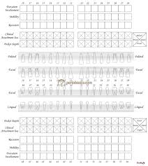 printable dental perio chart bedowntowndaytona com