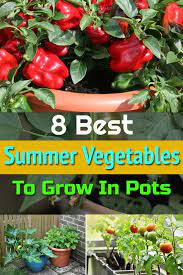 Look for unblemished, leafy branches without flowers or buds (the herb gets a slightly bitter aftertaste once it. 8 Best Summer Vegetables To Grow In Pots Growing Vegetables Summer Vegetable Growing Vegetables In Pots