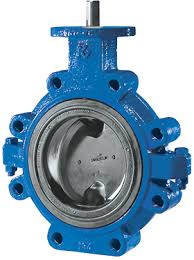 Butterfly Valve, Lug Style, Split Body, Cast Iron Body, 6IN ...