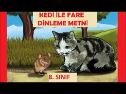 Ceylana Yardim Edenler Dinleme Metni 6 Sinif Youtube