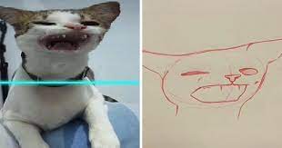 10 Potret Kucing Yang Bikin Tertawa Ngakak Korban Scan Filter Di Tik Tok Hewan Kucing Hewan Peliharaan