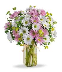 We did not find results for: Flowers And Gift Baskets Florist Canada Flower Delivery Flower Shop Send Flowers Online