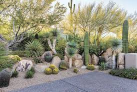 Verdant With A View Phoenix Home Garden Desert Landscaping Backyard Desert Landscaping Arizona Gardening