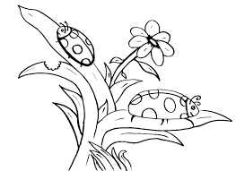 Coloring Now Blog Archive Ladybug Coloring Pages Bug Coloring Pages Insect Coloring Pages Ladybug Coloring Page