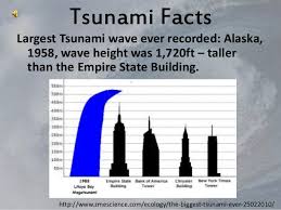So if you voted for a film one year but it was not selected, that vote does not carry over to the next year. Tsunami