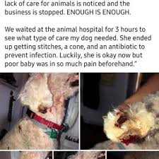 Uncover why wagging tails pet resort is the best company for you. Wagging Tails 46 Photos 40 Reviews Pet Groomers 635 New Park Ave West Hartford Ct Phone Number