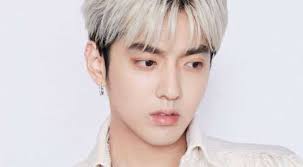 Join facebook to connect with kris wu yifan and others you may know. Chinese Canadian Pop Star Kris Wu Arrested On Suspicion Of Rape Entertainment News Wionews Com