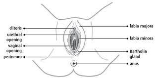 Maybe you would like to learn more about one of these? How To Care For Your Stitches And Perineum Following The Birth Of Your Baby Healthier Together