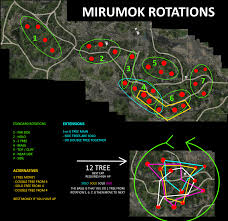 1 spot, followed by indians. Mirumok Rotations For Those Who Are Unfamiliar And Cant Be Bothered To Watch The Videos I Condensed It Into A Single Image Blackdesertonline