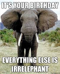 Pin By Vanessa Harris On Birthday Wishes Elephant Birthday Happy Birthday Funny Happy Birthday Meme Download a happy birthday image to celebrate your loved one. happy birthday funny happy birthday meme