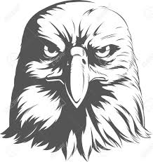 Stock Vector Eagle Silhouette Silhouette Vector Eagle Face Illustration of bald eagle silhouette vector art, clipart and stock vectors. www pinterest ru