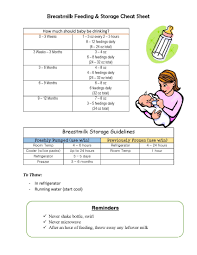 Breastmilk Bottle Feeding Storage Guidelines Bottle