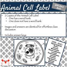 Check spelling or type a new query. Labels For Animal Cell Worksheets Teaching Resources Tpt