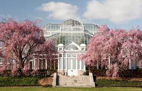 We did not find results for: The New York Botanical Gardens A Natural Beauty In The Bronx Rabbi Arthur Schneier Park East Day School