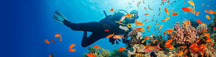 Bahamas Diving Kamalame Cay