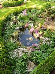 Wollt Ihr Mal Schauen Garten Teichlandschafts Gartenbuddelei
