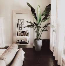 Modern House Plants In 2020 Living Room Modern Living Room Plants Home Decor Bedroom