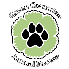 Check spelling or type a new query. The Pet Spa Home Facebook