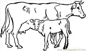 Cow is an animal that is very useful for us. Cow 4 Coloring Page For Kids Free Cow Printable Coloring Pages Online For Kids Coloringpages101 Com Coloring Pages For Kids